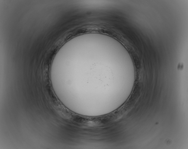 X0000093530737200710121149