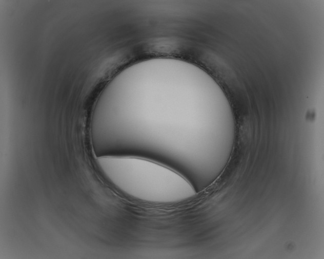 X0000093530739200710121149