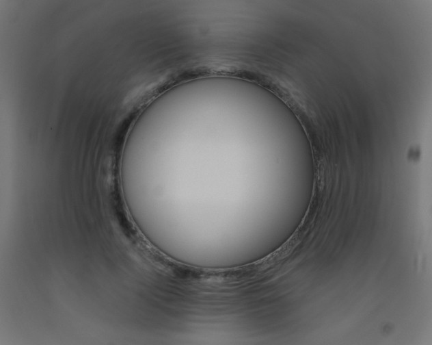 X0000093530740200710121149