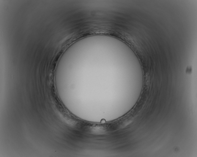 X0000093530741200710121149