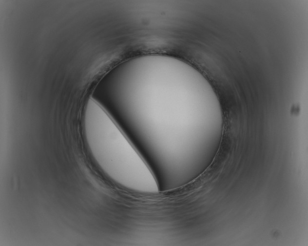 X0000093530742200710121149