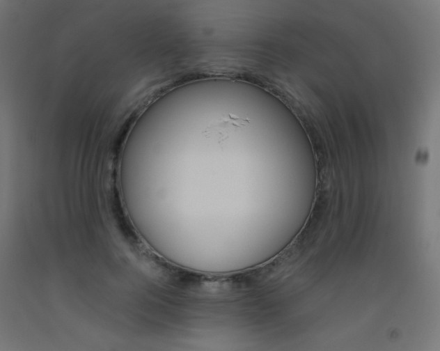 X0000093530744200710121149