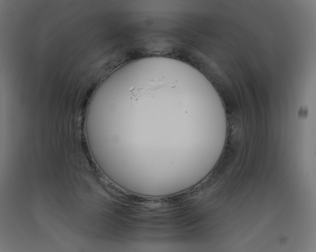 X0000093530745200710121149
