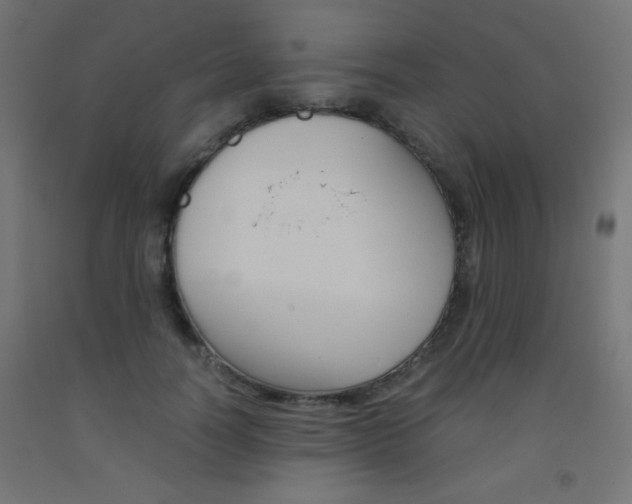 X0000093530746200710121149