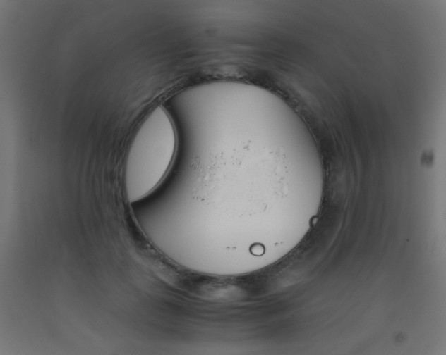 X0000093530747200710121149