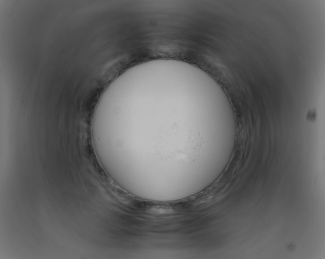 X0000093530749200710121149
