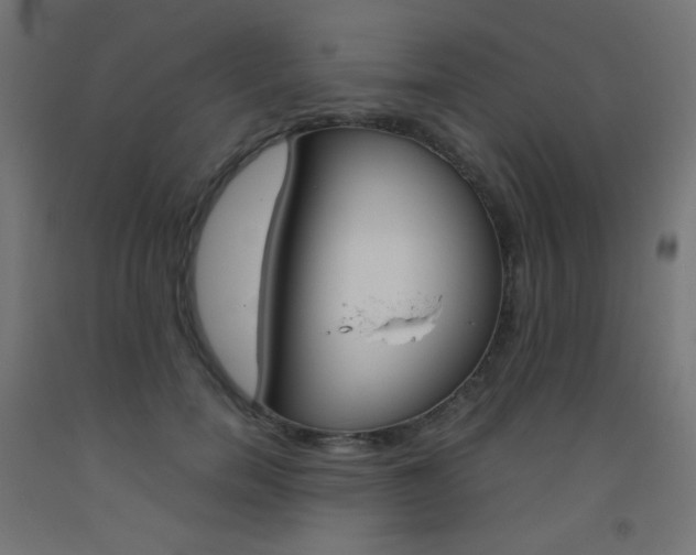 X0000093530750200710121149