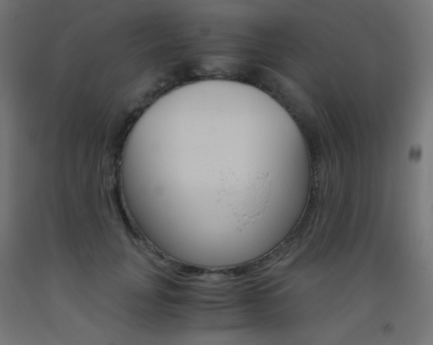 X0000093530751200710121149
