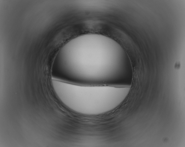 X0000093530752200710121149