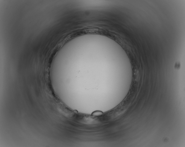 X0000093530753200710121149