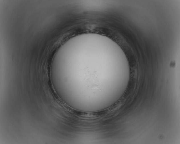 X0000093530754200710121149