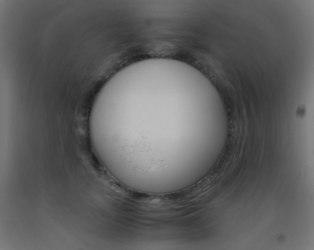 X0000093530755200710121149