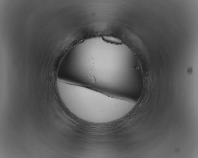 X0000093530756200710121149