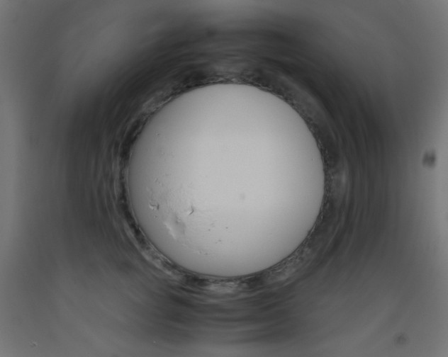 X0000093530757200710121149