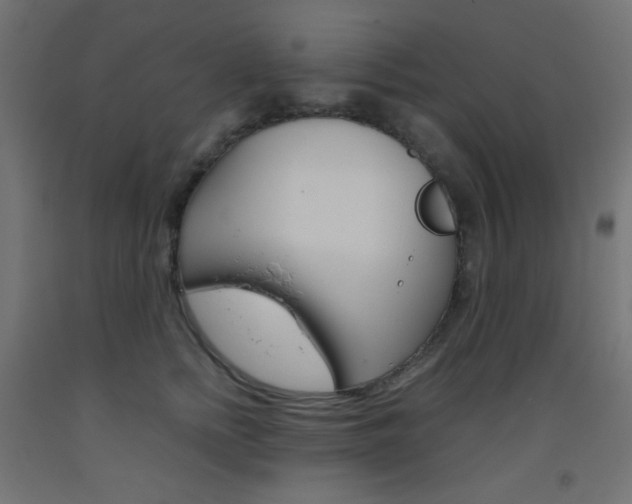 X0000093530758200710121149