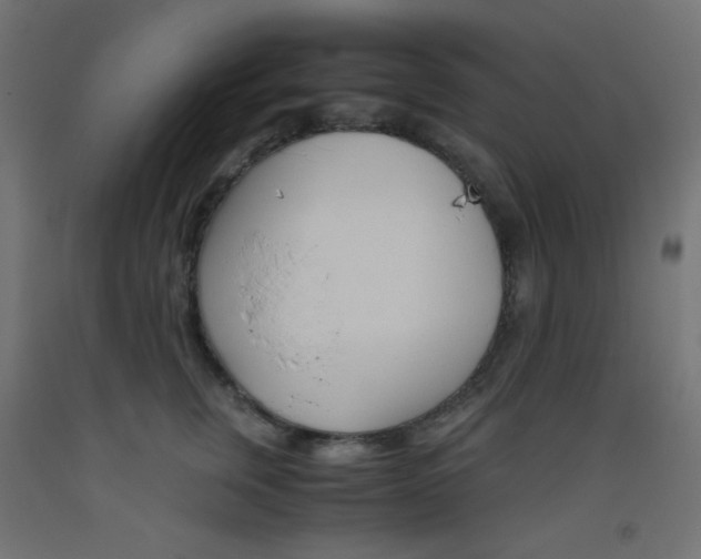X0000093530759200710121149