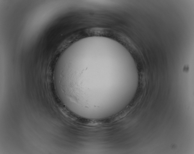 X0000093530760200710121149