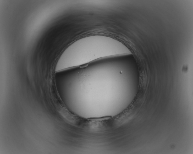 X0000093530762200710121149