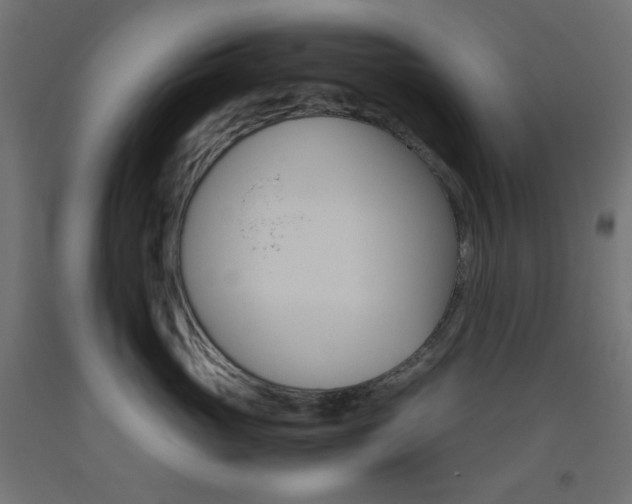 X0000093530765200710121149