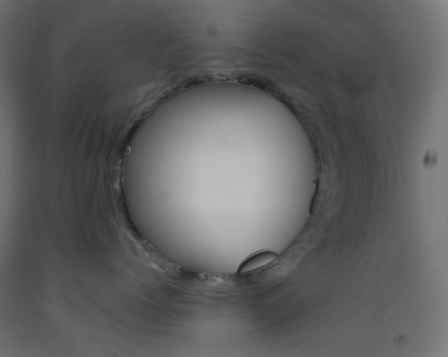 X0000093530768200710121149