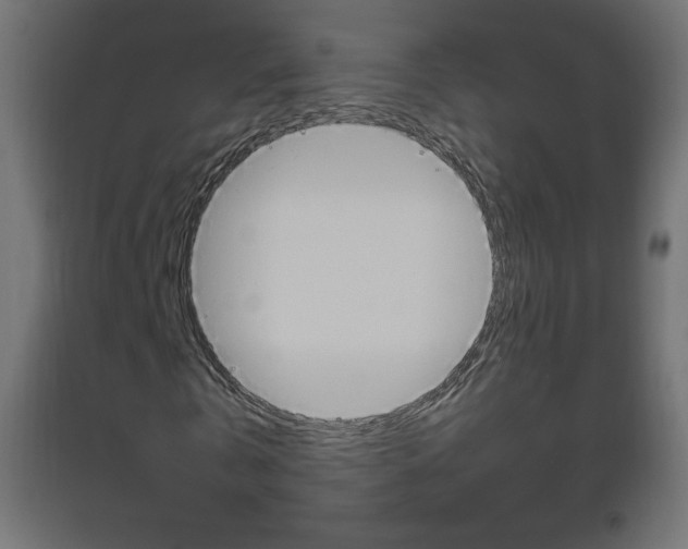 X0000093530769200710121148