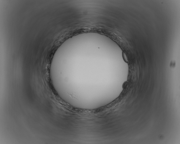 X0000093530770200710121148