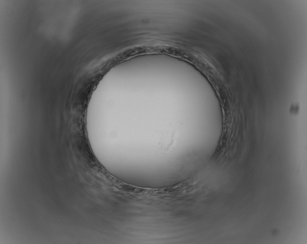 X0000093530773200710121148