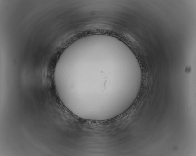 X0000093530774200710121148