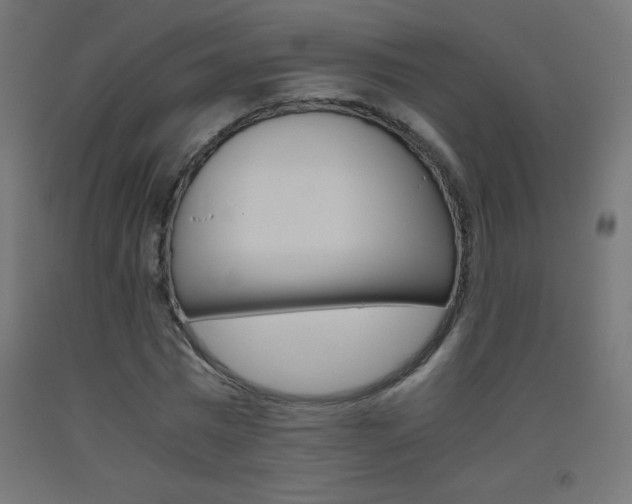 X0000093530777200710121148