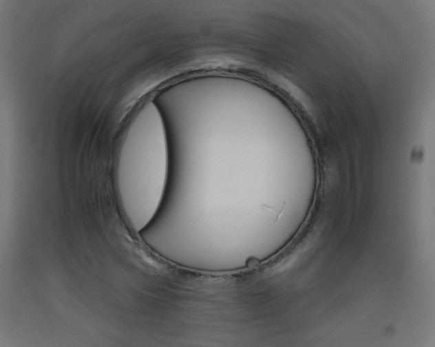 X0000093530778200710121148