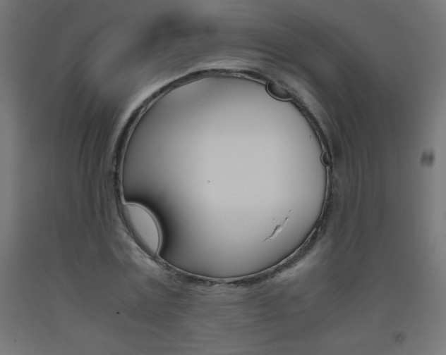 X0000093530779200710121148