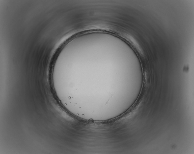 X0000093530780200710121148