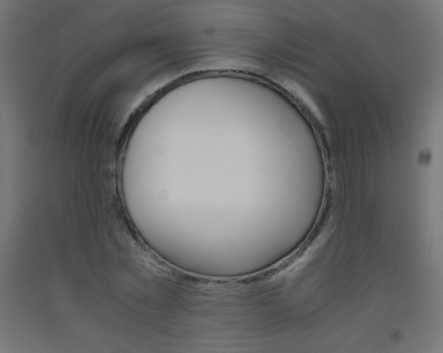 X0000093530781200710121148