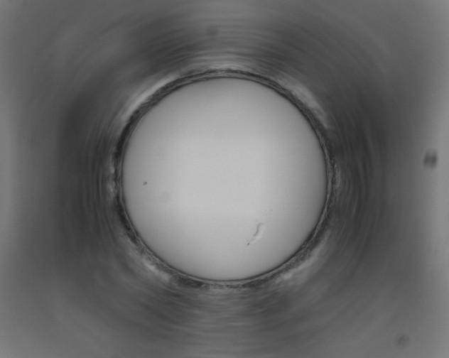 X0000093530782200710121148