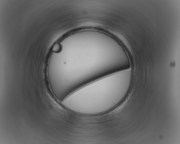 X0000093530783200710121148