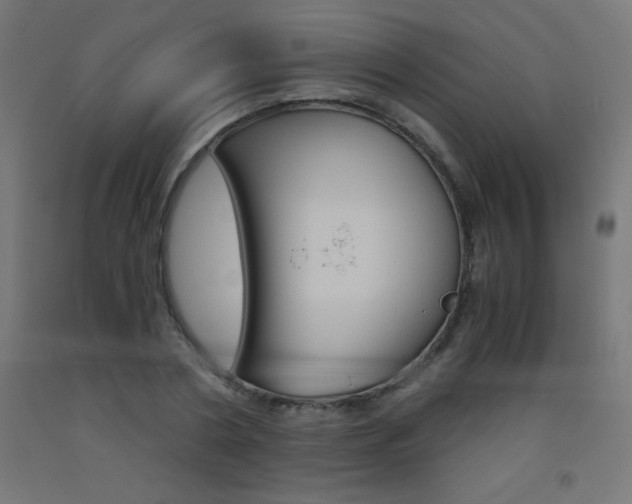 X0000093530786200710121148