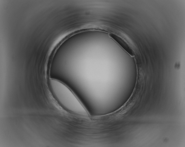 X0000093530788200710121148