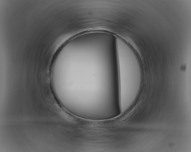 X0000093530789200710121148