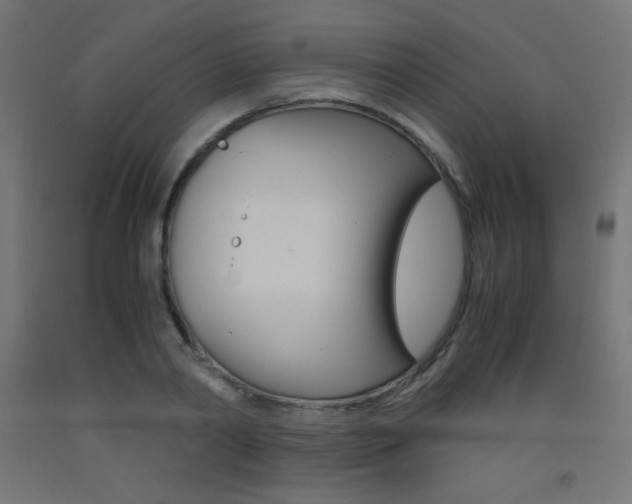 X0000093530790200710121148