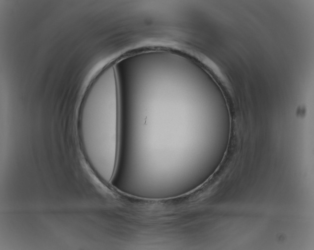 X0000093530791200710121148