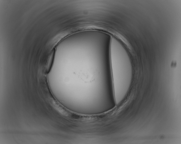 X0000093530793200710121148