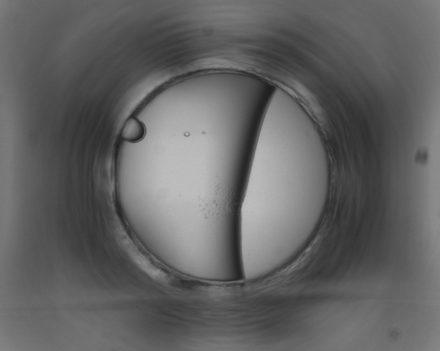 X0000093530796200710121148