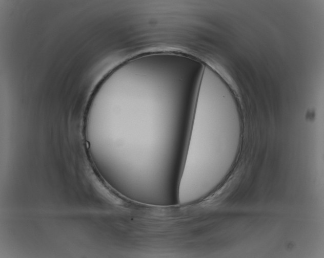 X0000093530797200710121148