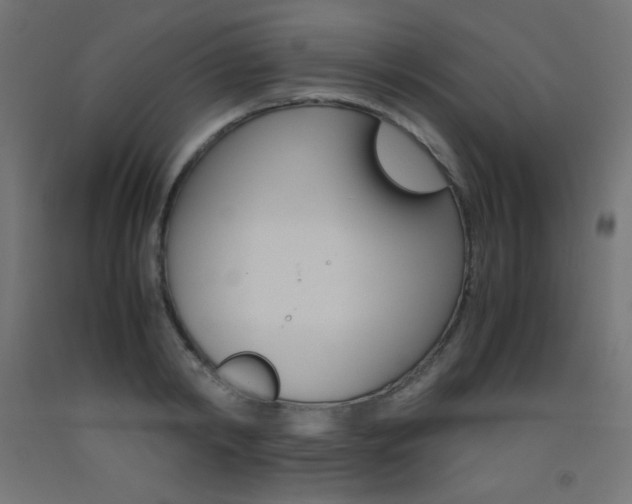 X0000093530798200710121148
