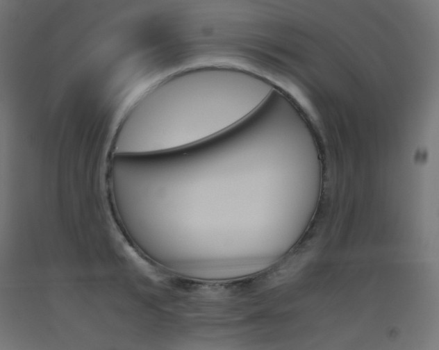X0000093530799200710121148