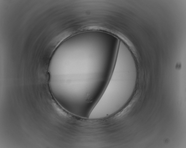 X0000093530801200710121148