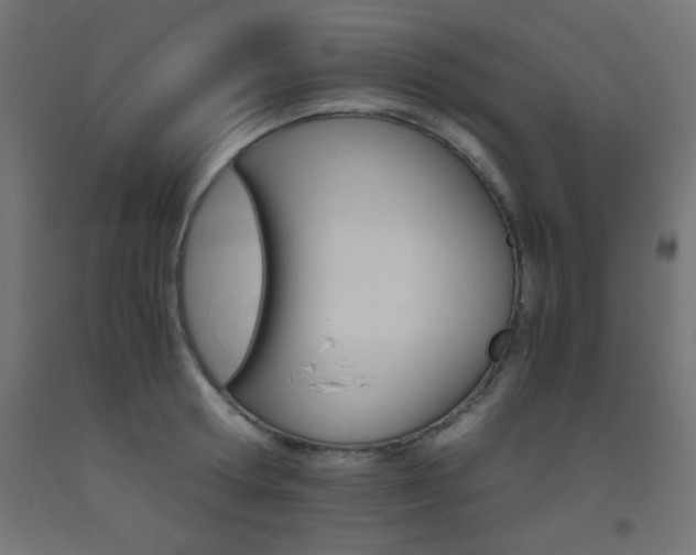X0000093530802200710121148