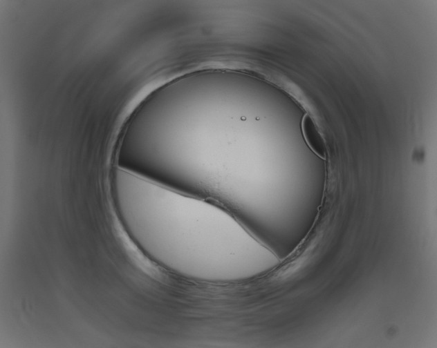 X0000093530803200710121148