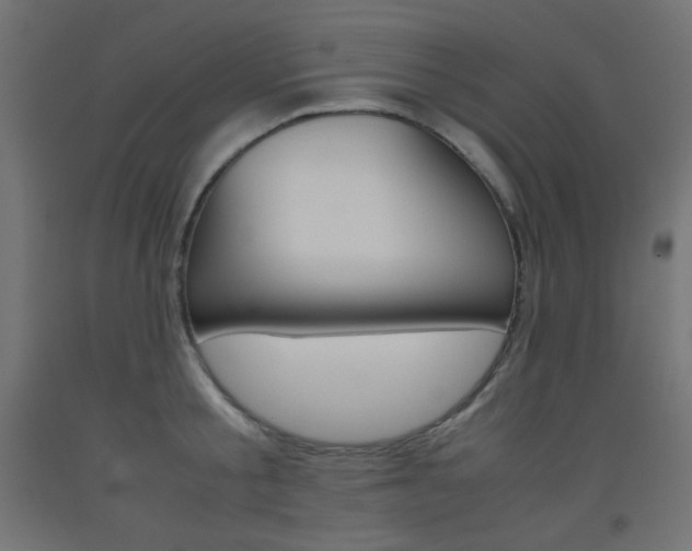 X0000093530805200710121148