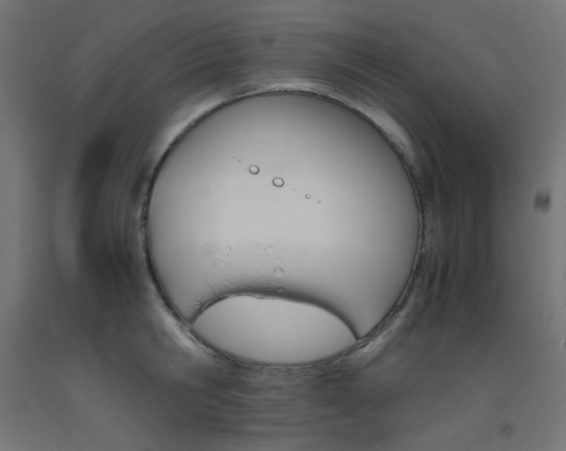 X0000093530806200710121148